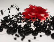 Rose and Pearls
