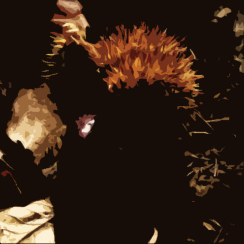 Wild Chestnut